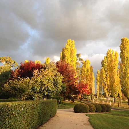 Glen Waverly Farmstay Глен Инес Екстериор снимка