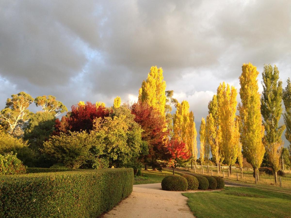 Glen Waverly Farmstay Глен Инес Екстериор снимка