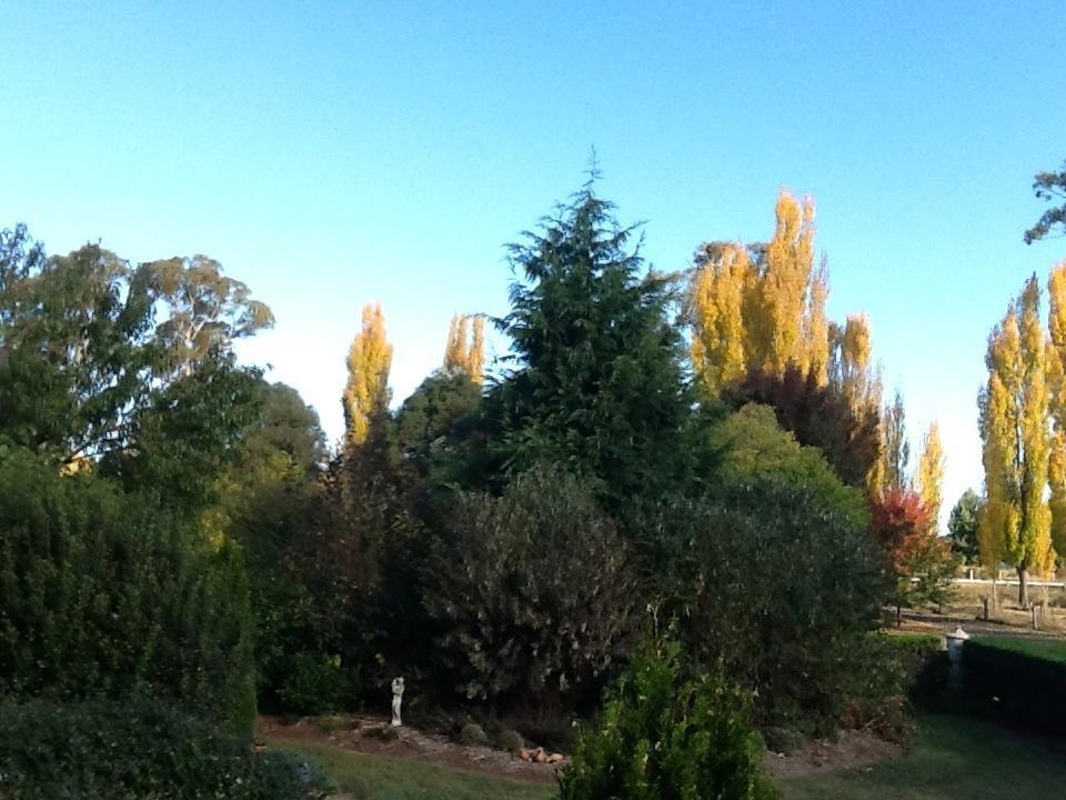 Glen Waverly Farmstay Глен Инес Стая снимка