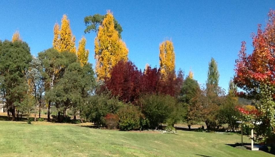 Glen Waverly Farmstay Глен Инес Стая снимка
