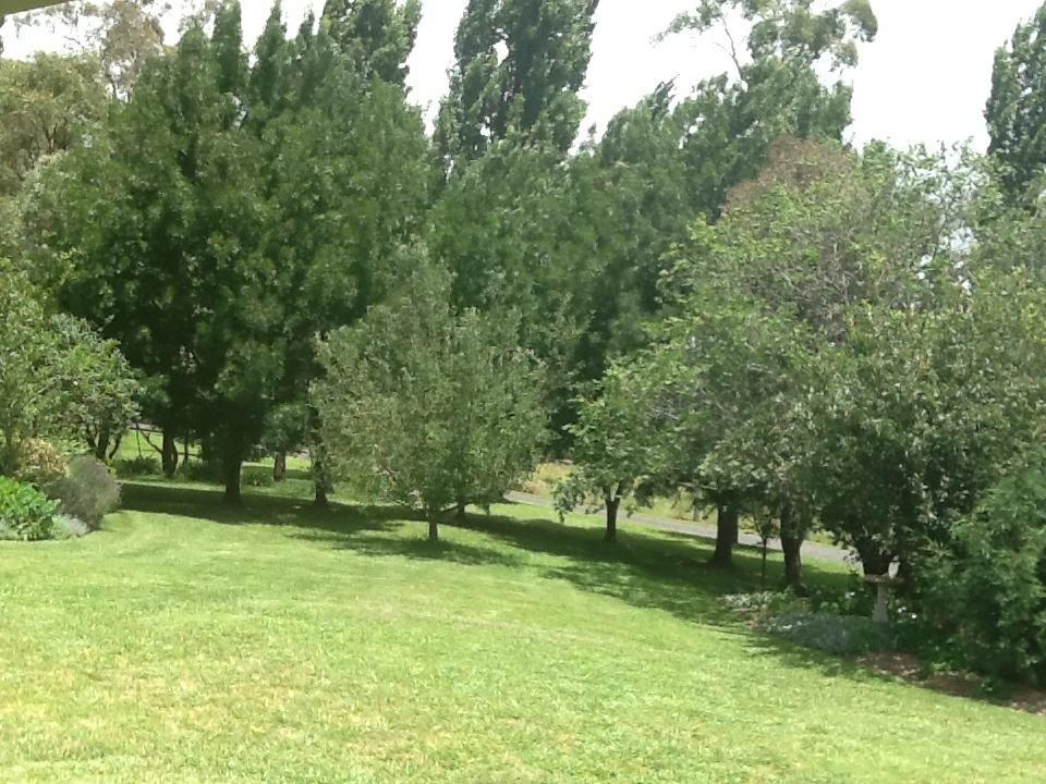 Glen Waverly Farmstay Глен Инес Стая снимка