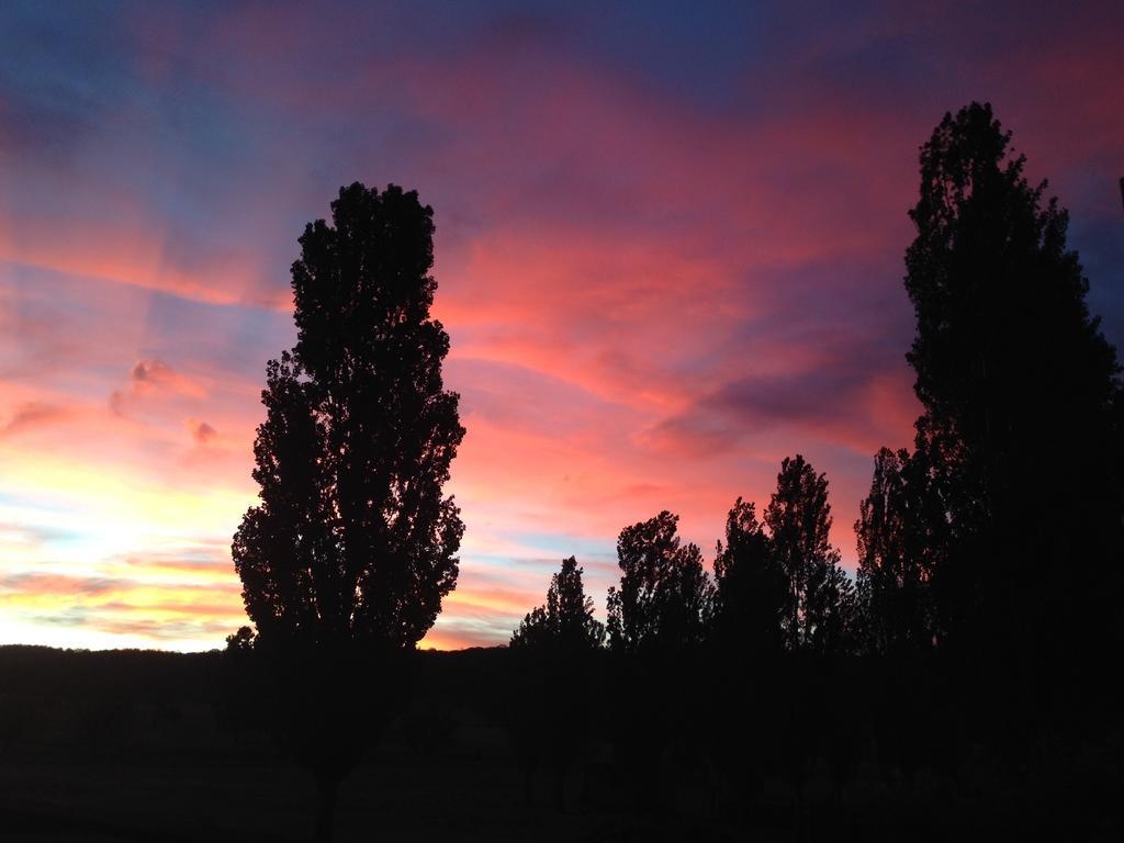 Glen Waverly Farmstay Глен Инес Екстериор снимка