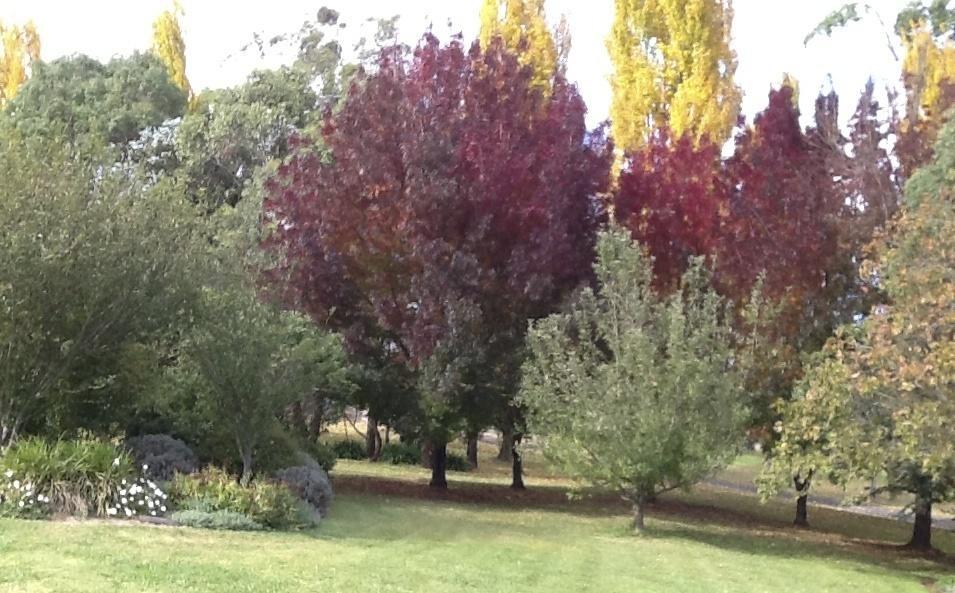 Glen Waverly Farmstay Глен Инес Стая снимка