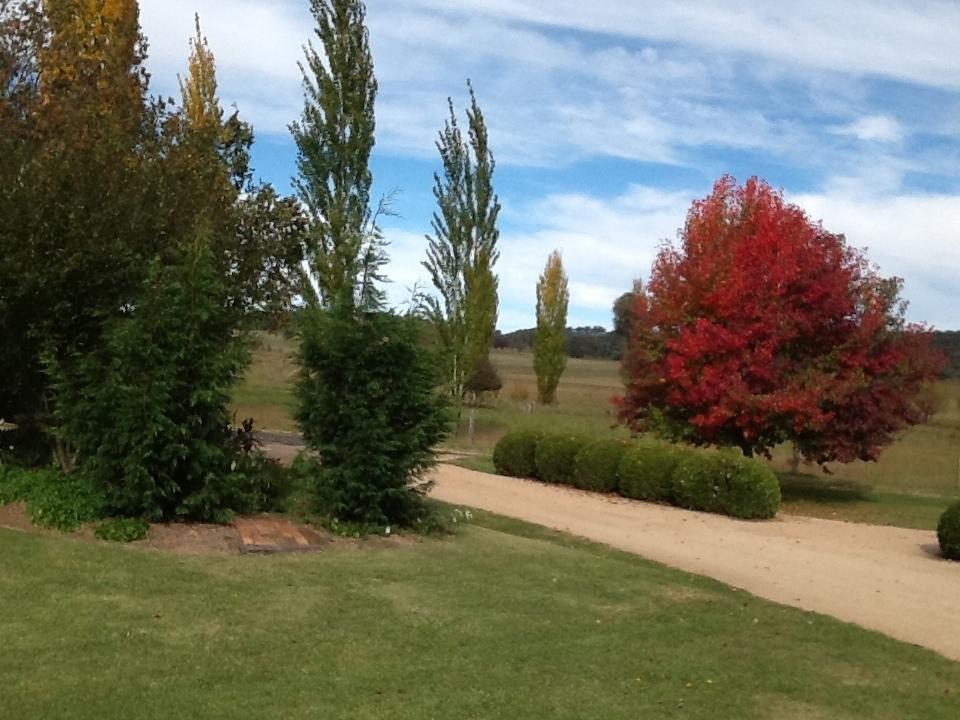 Glen Waverly Farmstay Глен Инес Стая снимка