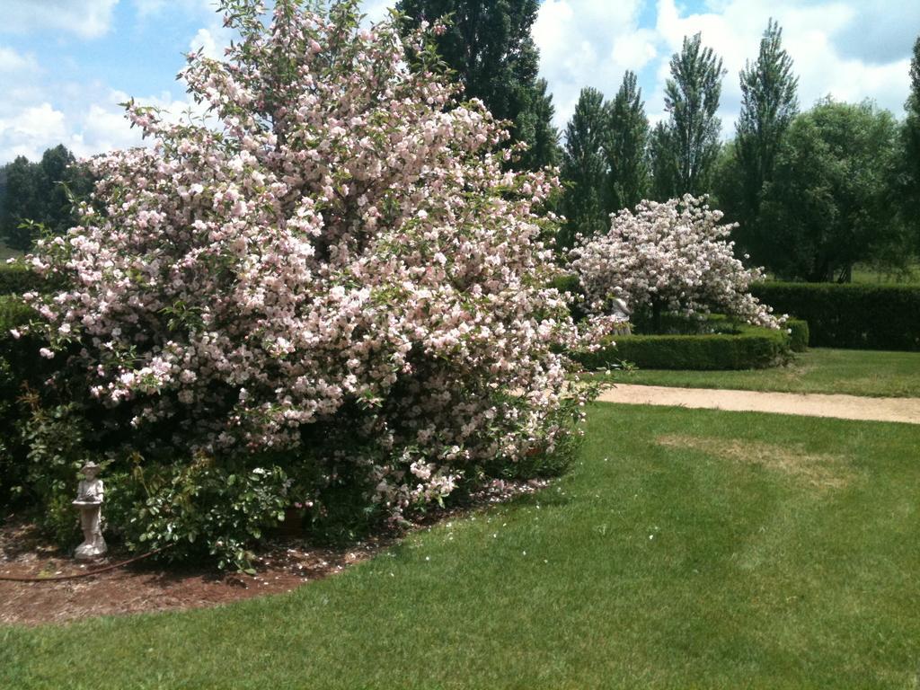 Glen Waverly Farmstay Глен Инес Екстериор снимка